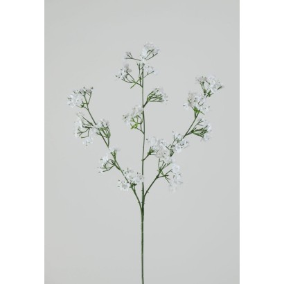 paniculata 54cm blanco