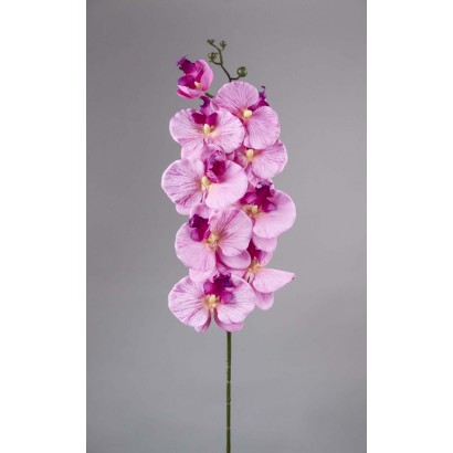 orquidea 85cm rosa