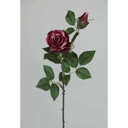 rosa 69cm borgoña