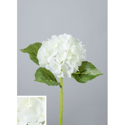 hortensia natural 33x24 cm blanco