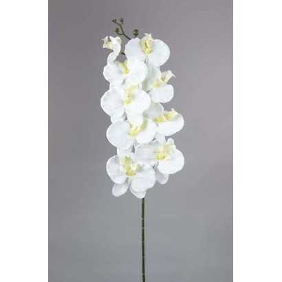 orquidea 85cm blanco