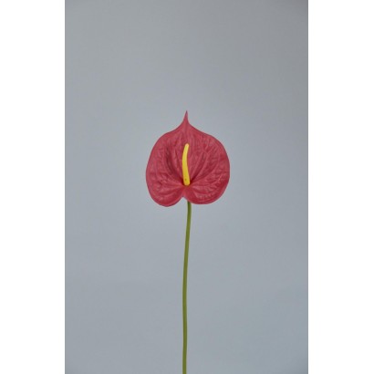 anturium natural 43cm rojo