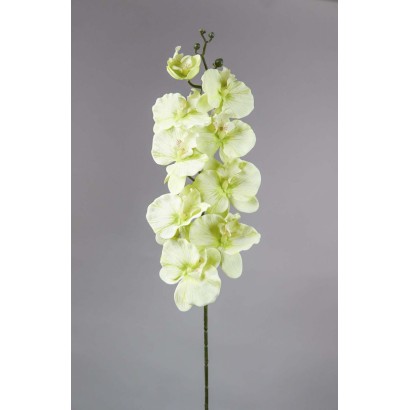 orquidea 85cm verde