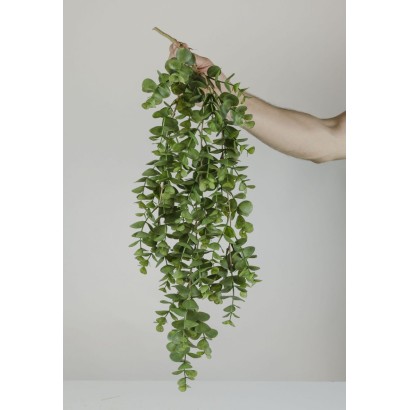 Colgante eucalipto x 3 81x20cm verde