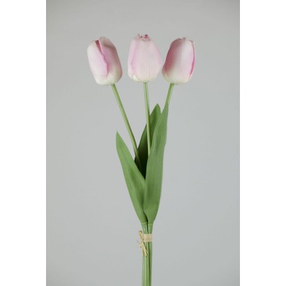Tulipan natural x 3 52x10 cm rosa
