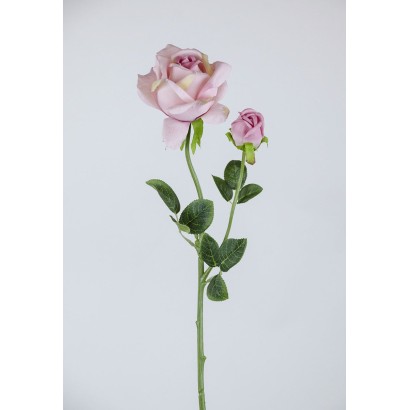 Rosa x 2 62x12cm rosa