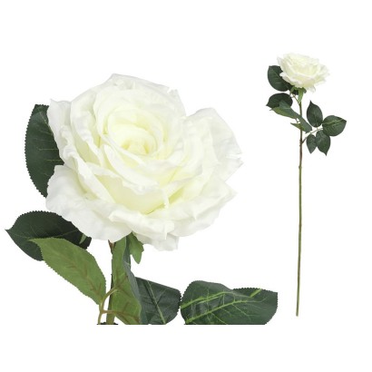 Vara rosa queen-78 cm (blanco)