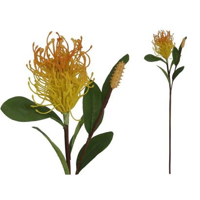 Vara leucospermum 59 cm (amarillo)