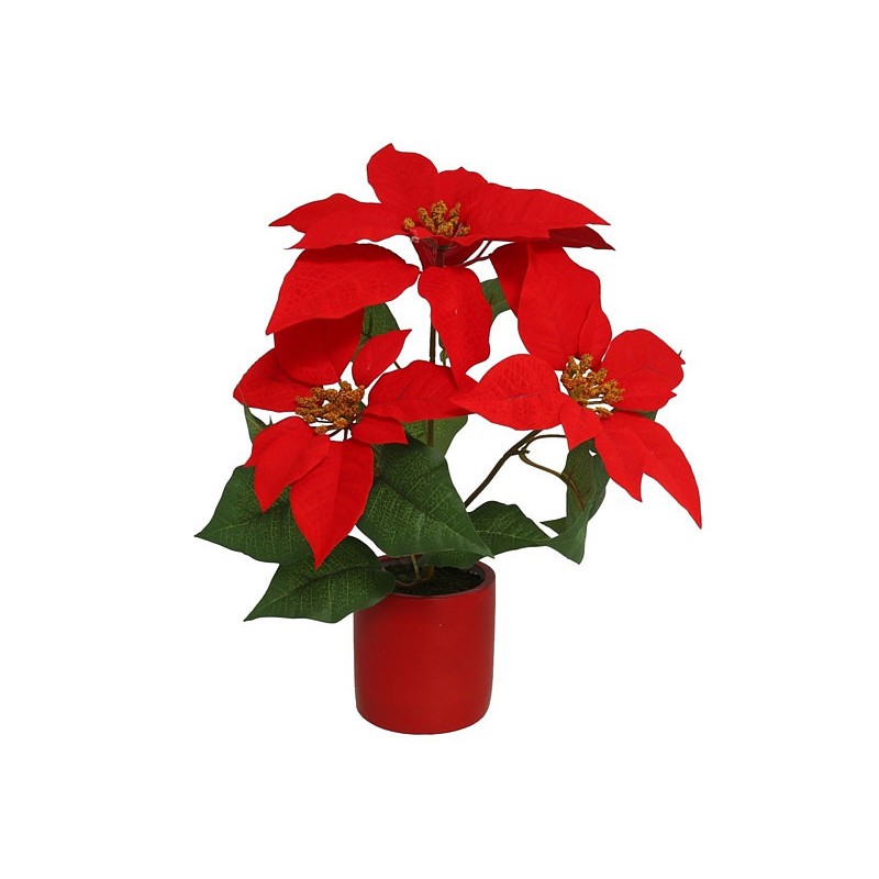 Maceta poinsettia roja 3 tallos 32x35cm