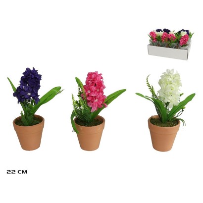 Maceta barro jacinto surtidas 22 cm