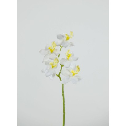 Orquidea mini x 5 blanco 23cm