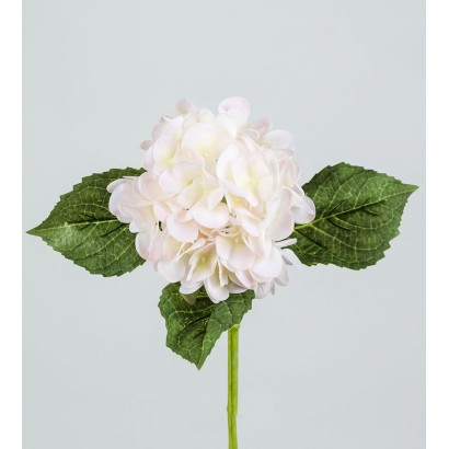 Hortensia natural x1 33x24 cm rosa