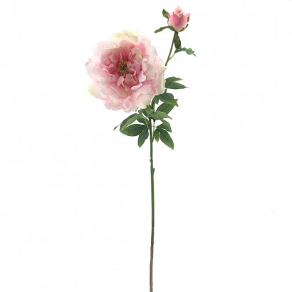 Peonia 90 cm rosa